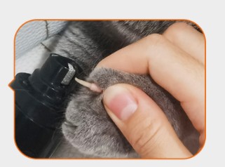 Rasuradora eléctrica de uñas para mascotas, recargable, compacta y fácil de usar, dos cabezas de rallado, luces LED, tres marchas, silenciosa, sin daño a las venas sanguíneas — imagen 6