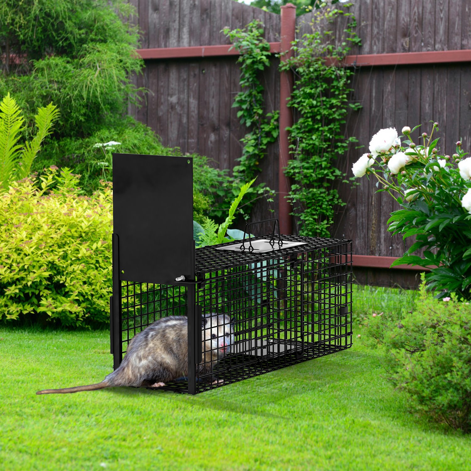 Live Animal Cage Trap For Animals Humane Galvanized Iron Trap Cage For Raccoons Armadillos Foxes Opossums Muskrats Beavers 26in 32in 40in Size Options — image 4