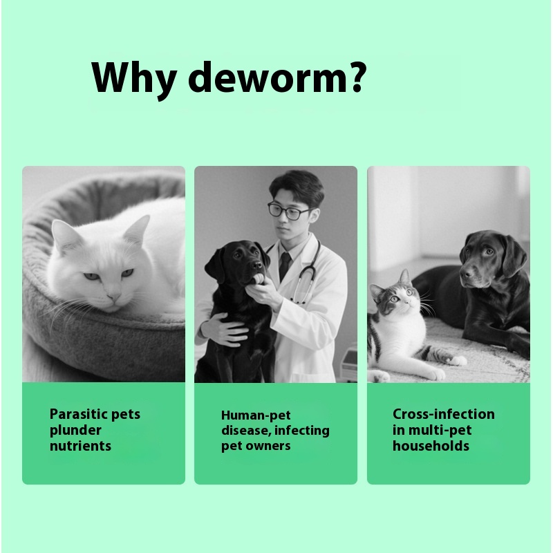 Productos para el Alivio de Picazón y Cuidado de la Salud de Mascotas — imagen 1