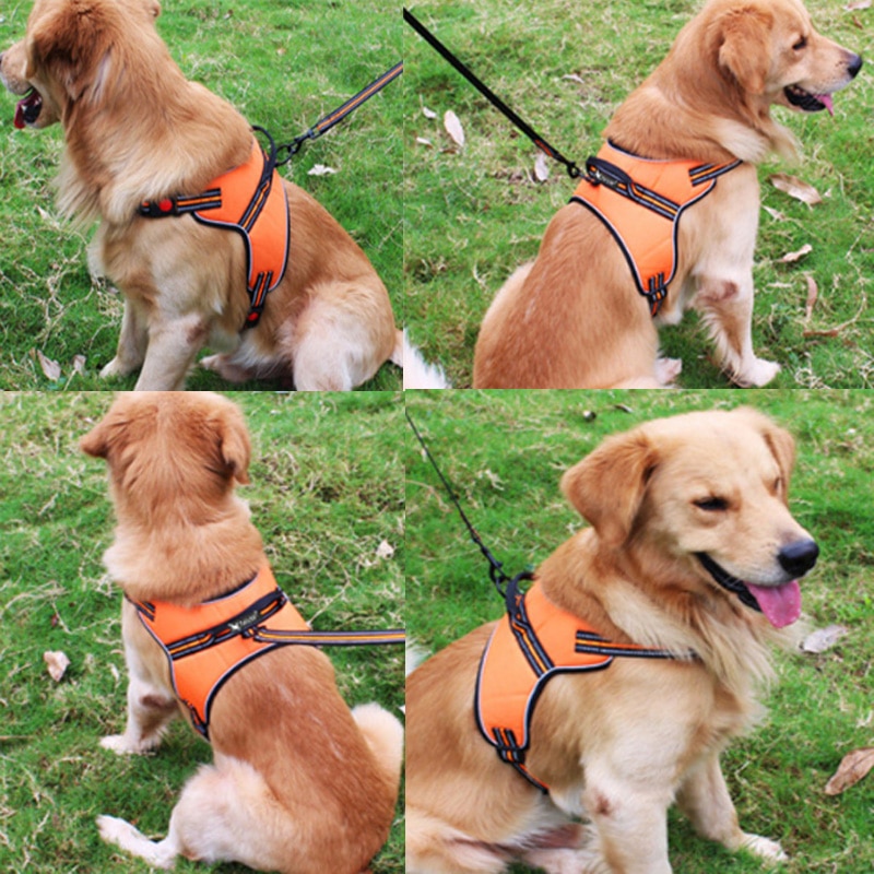 Arnes de Perro Respirable Seguro Reflectante Vestido para Perros Sin Tirar Cinturón de Control Ajuste para Perros Medianos y Grandes — imagen 6