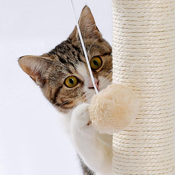 Indoor Cat Soft Scratching Board And Interactive Ball Track Toy Cat Rest And Grooming Supplies — image 12
