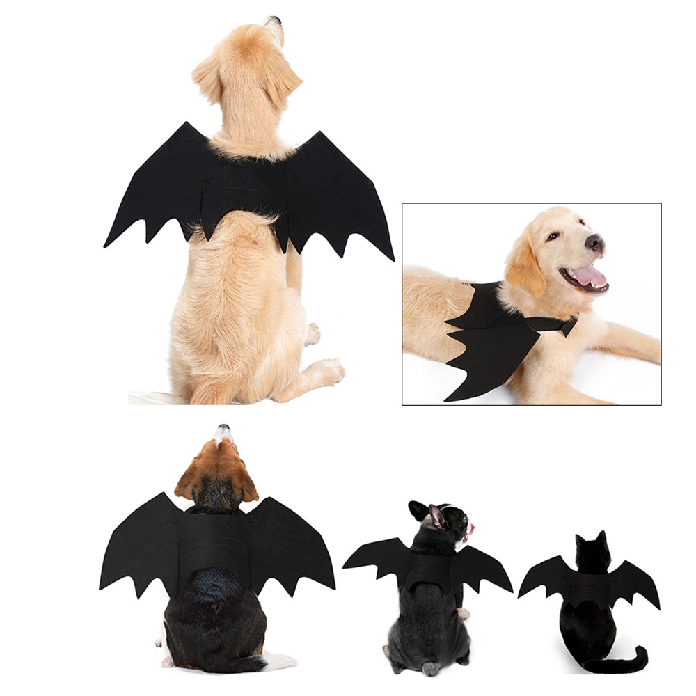 Disfraz de Murciélago para Perros - Ropa de Halloween para Mascotas — imagen 5