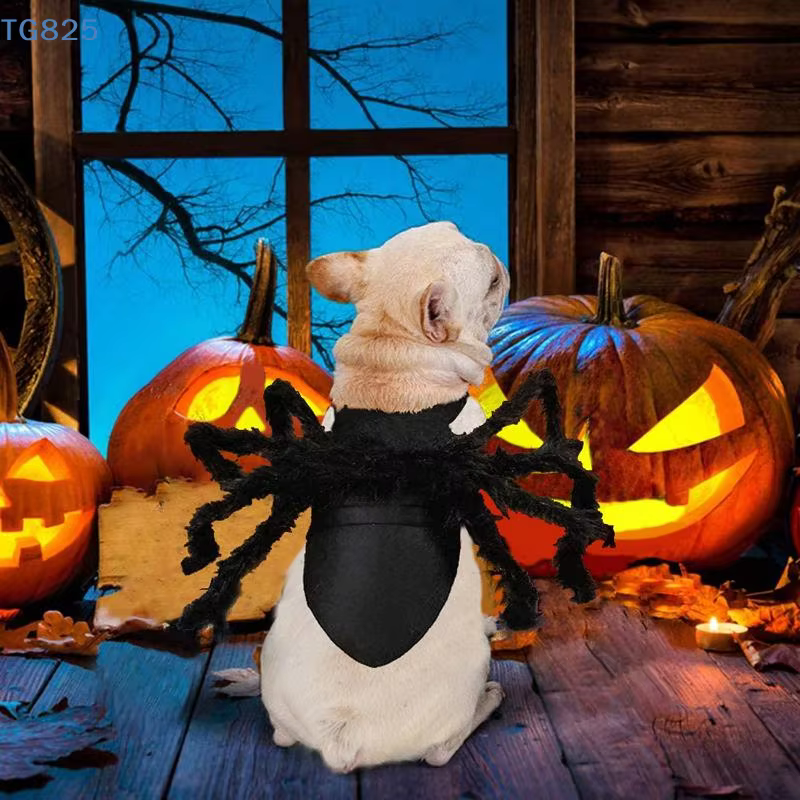 Disfraz de Araña para Mascotas: Transformación de Halloween con Ropa de Cosplay — imagen 4