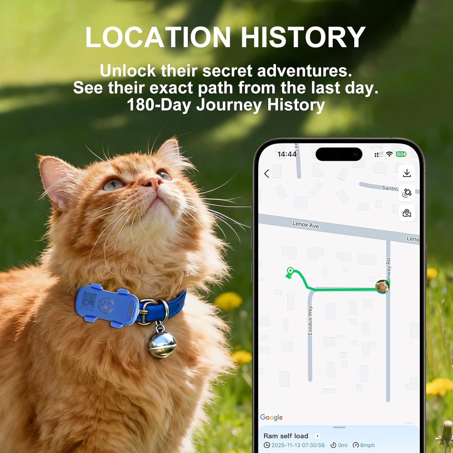 Rastreador GPS para Perros en Tiempo Real, Protección Antipérdida con Geocortina y Alarma Sonora y Luz, Trackede sin Límite, Compatible con la Mayoría de Collares de Mascotas, Suscripción Obligatoria — imagen 3
