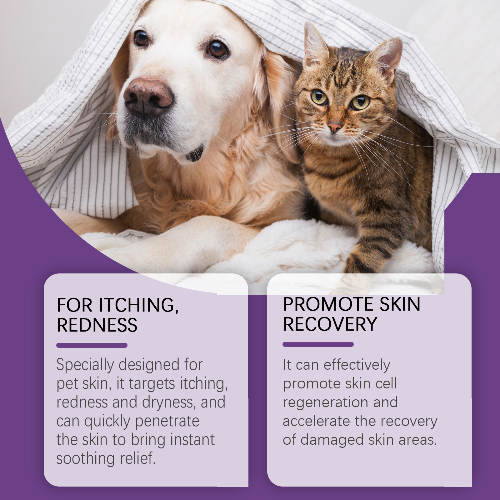 Pet Skin Soothing Cream, Skin Repair For Dogs & Cats, Soothe Itching Redness Dry Skin, Safe Gentle Skin Care For Pets 20g — image 5