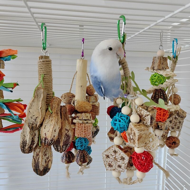 Juguetes para Loros Suministros de Mordida Piezas para Volateros — imagen 21