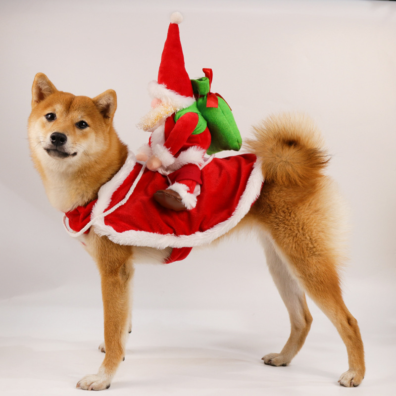 Disfraz de Navidad Divertido para Perros - Santa en un Vestido para Pequeños y Grandes Canes | Regalo de Fiestas y Año Nuevo — imagen 1