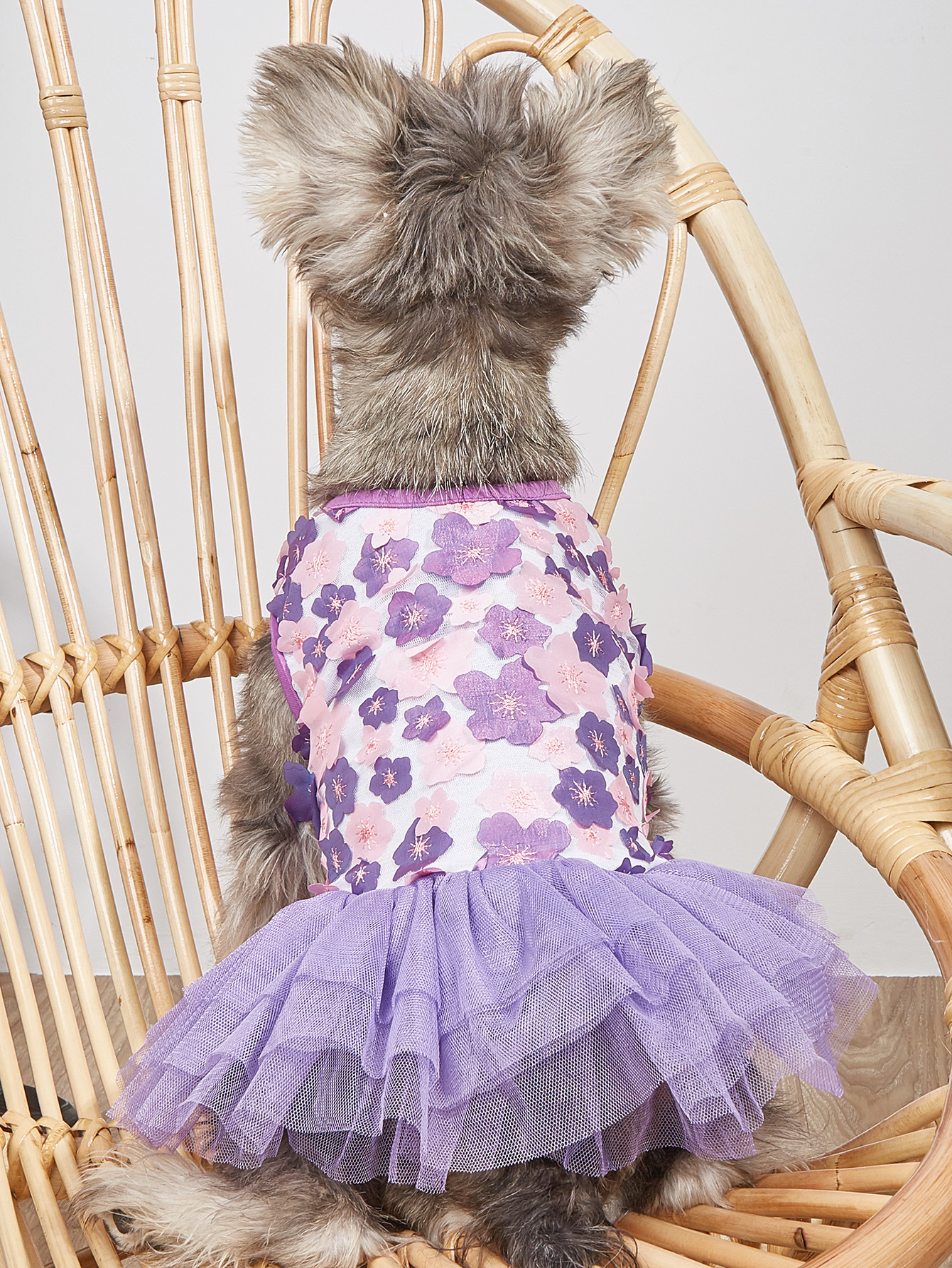 Ropa de Perro con Faldita Floral para Primavera y Verano - Falda Puff para Cachorros y Gatos Pequeños en Color Naranja — imagen 3