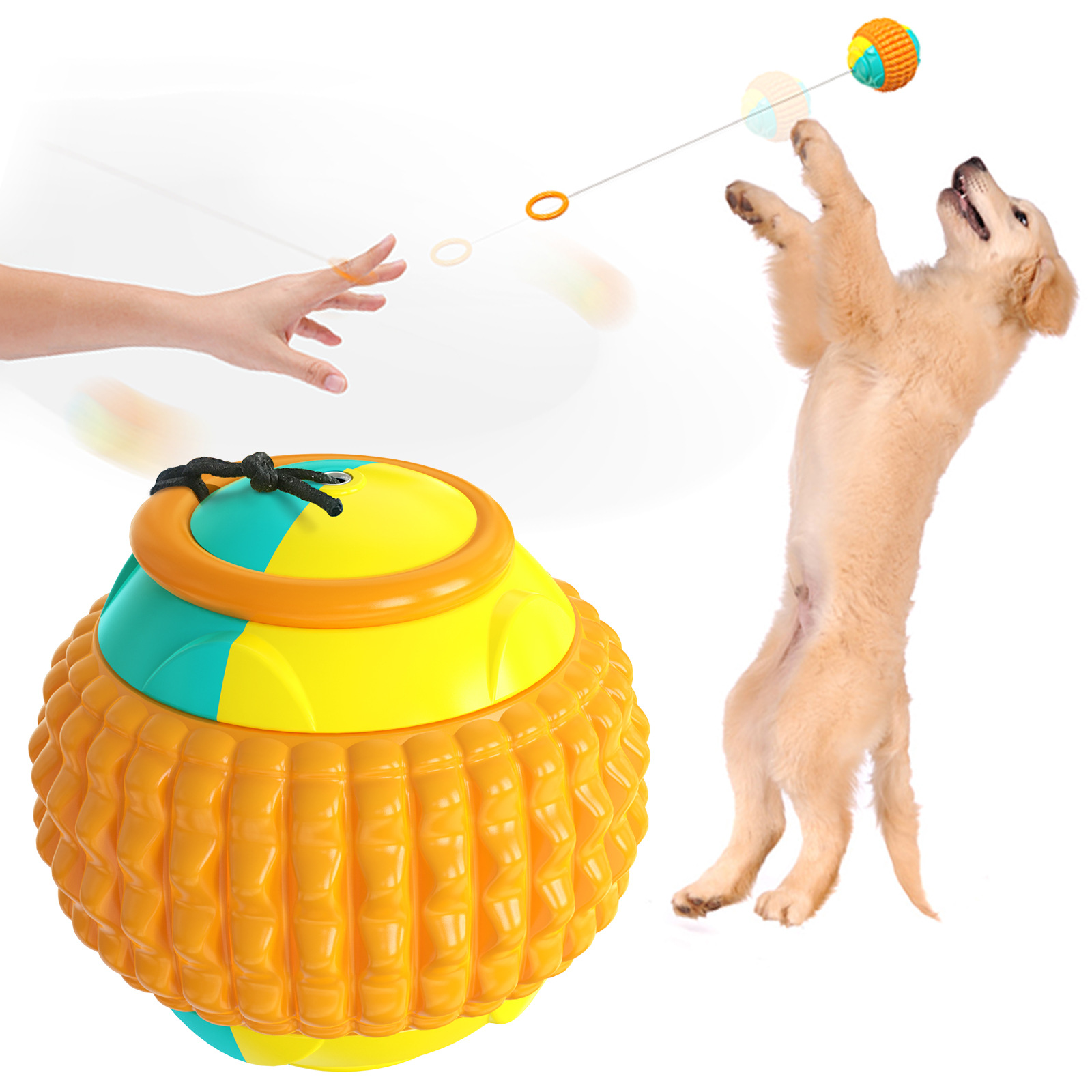Pet Supplies Training Hand Throwing Ball Molars Bite Resistant Interactive And Fun Dog Toys — image 1