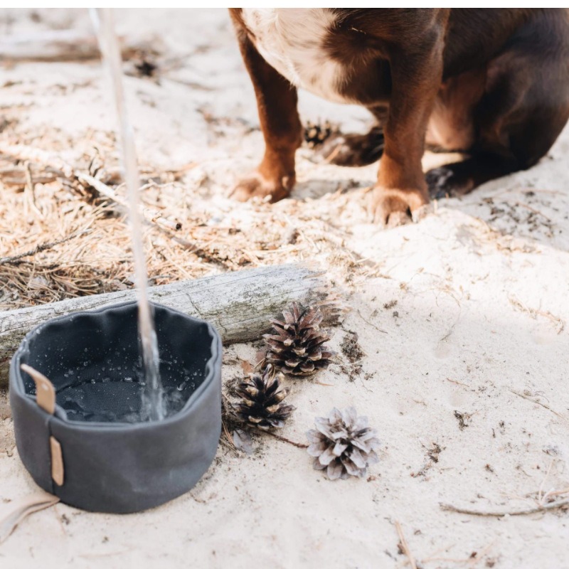 Foldable Waxed Food Tray Portable Pet Tableware Outdoor Pet Travel Canvas Dog Bowl — image 2
