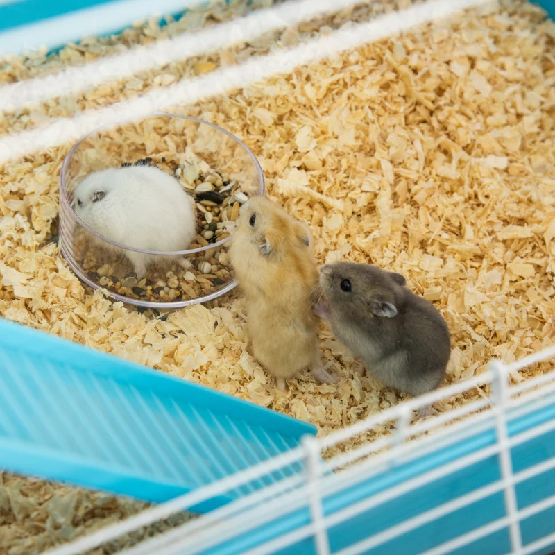 Hamster Cage With Tubes And Tunnels, Portable Carry Handles, Rat House And Habitats Big 5-Tier Design, Mouse Cage Includes Exercise Wheel, Water Bottle, Food Dish, Light Blue — imagen 11