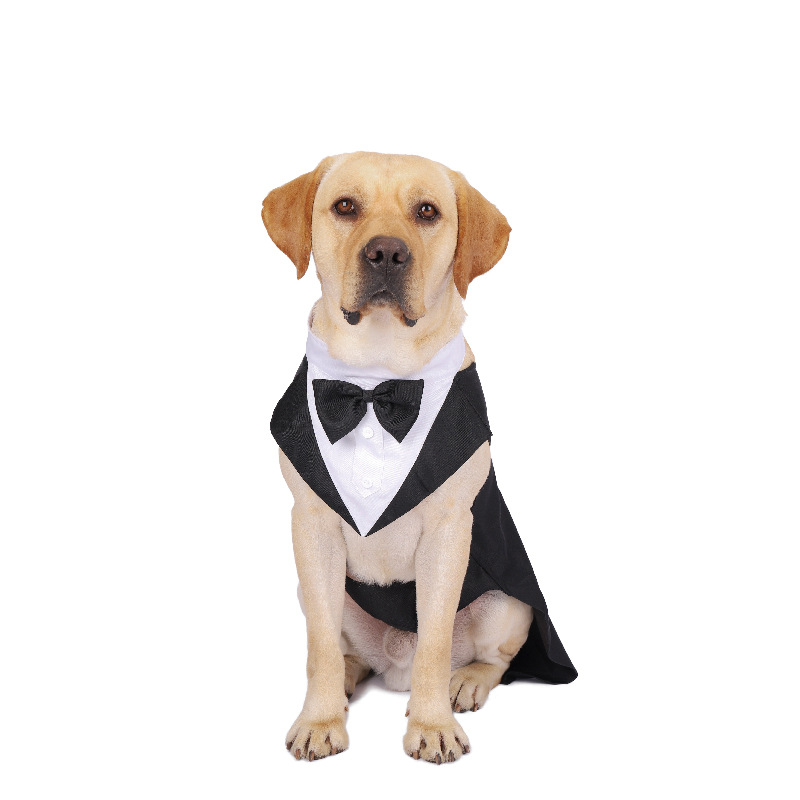 Traje de Novio para Mascotas Grande - Vestido con Corbata y Cuello de Gentleman para Perros Grandes y Pequeños — imagen 4