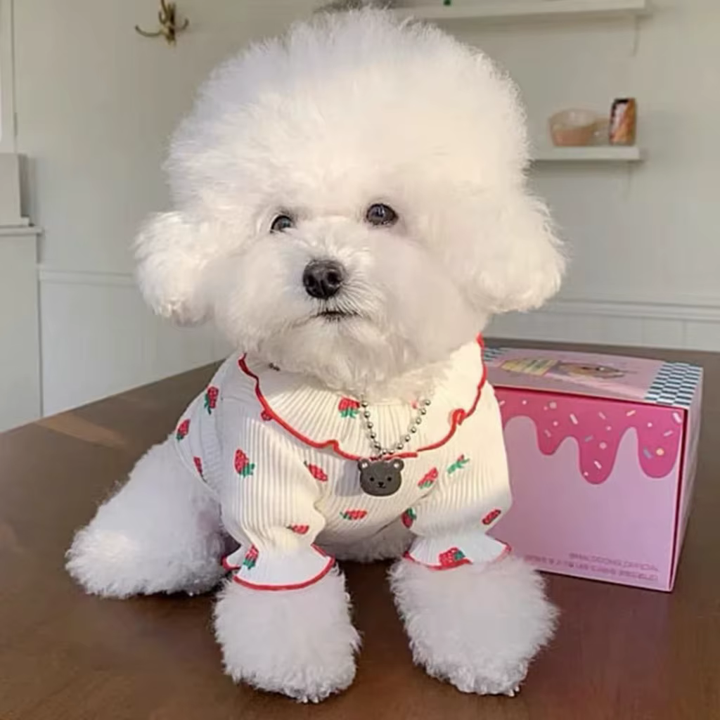 Ropa de Verano para Perros Pequeños - Vestido de Fresa con Manga Rizada para Gatos y Perros Chicos — imagen 2