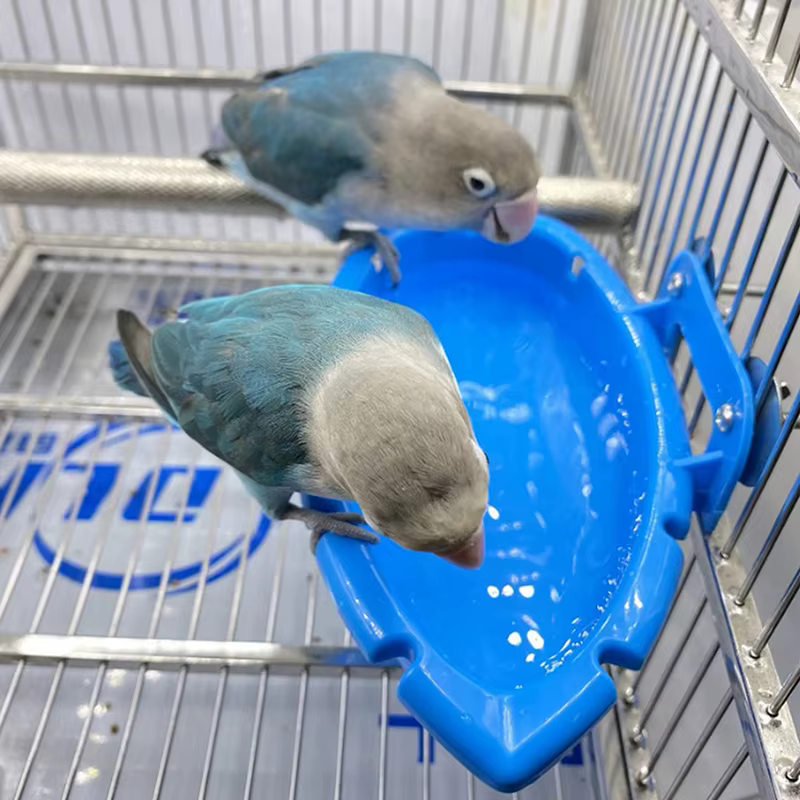 Plato de Alimento para Loros Multifuncional Azul Bautista Caja de Animales Estándar Baño Limpieza de Mascotas Juguetes para Aves — imagen 4