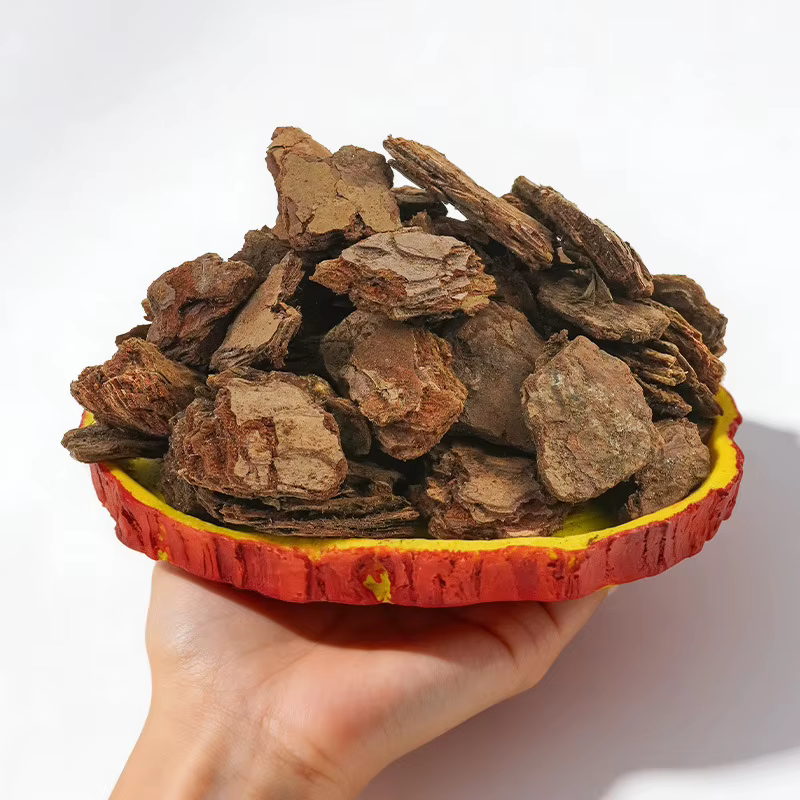 Corteza de Pino - Substrato para Reptiles 500g - Chips de Madera Natural para Terrario de Iguanas, Tortugas y Lagartos Bioactivo Decorativo — imagen 3