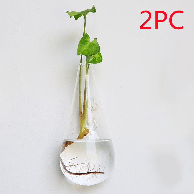 Vaso de Vidrio para Terrario Decorativo en Línea - Jardín Acuático para Hogar — imagen 60