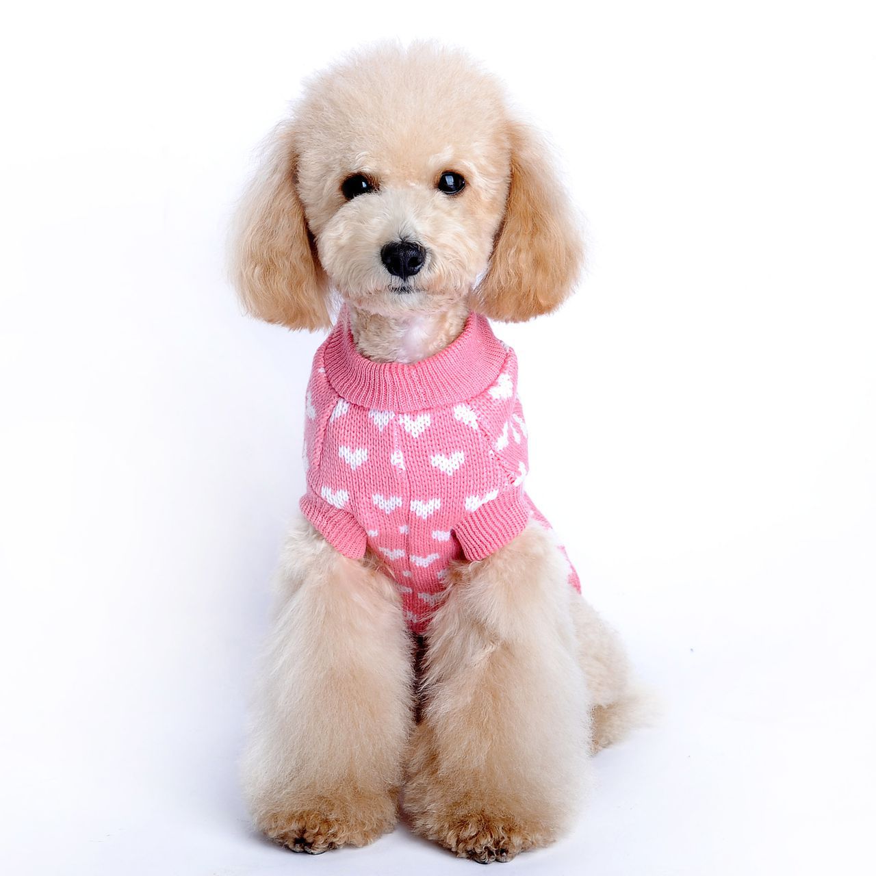 Autumn And Winter New Pet Sweater Cute Heart Pattern Dog Clothes Pet Supplies — image 2