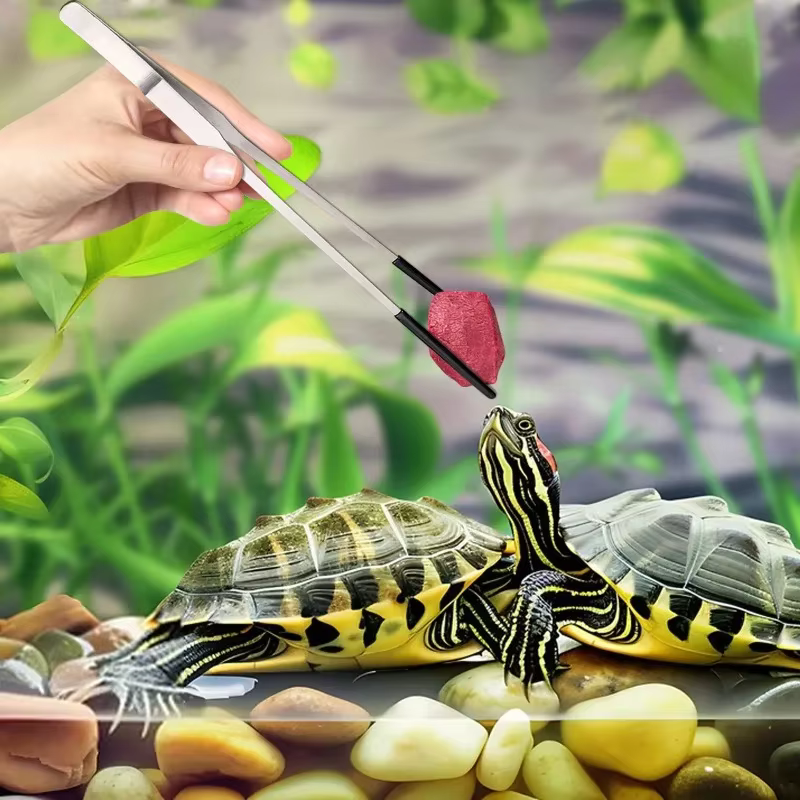 2 Piezas de Pinzas de Acero Inoxidable, Rectas y Curvas con Punta Doblada, Pinzas de Alimentación para Reptiles, Lagartos, Arañas, Manualidades y Reparación de Joyería — imagen 3
