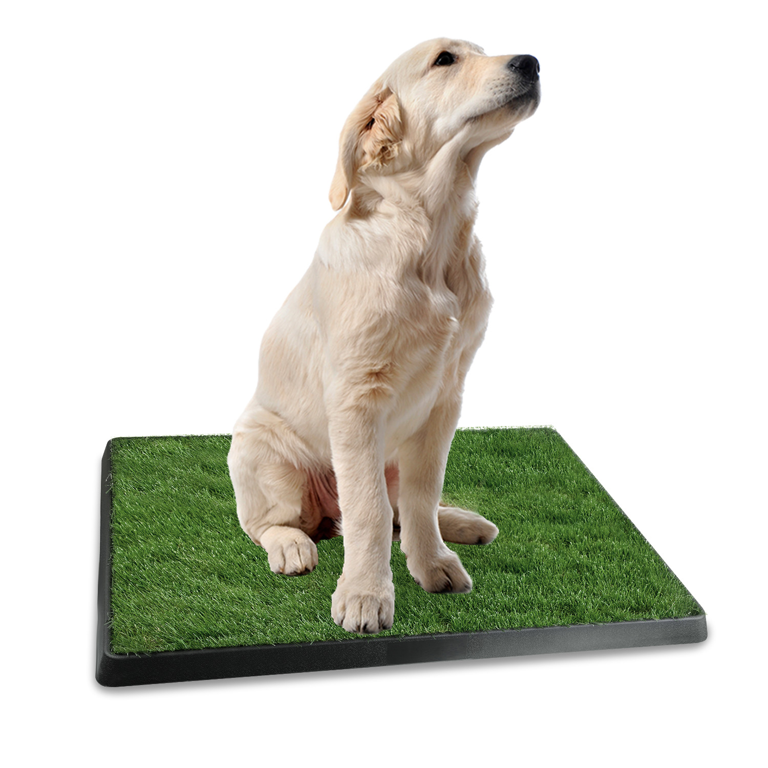 Dog Potty Training Artificial Grass Pad Pet Cat Toilet Trainer Mat Puppy Loo Tray Turf For Small Medium Dogs Indoor Outdoor Use — image 3