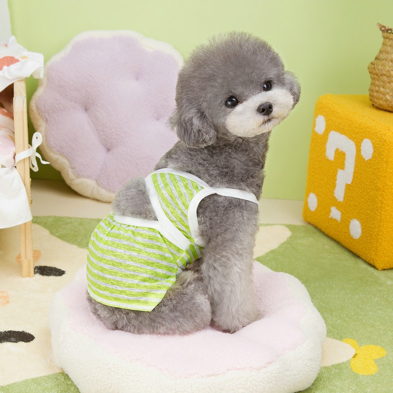 Conjunto de baño para mascotas - Vestimenta de playa para perros y animales — imagen 5