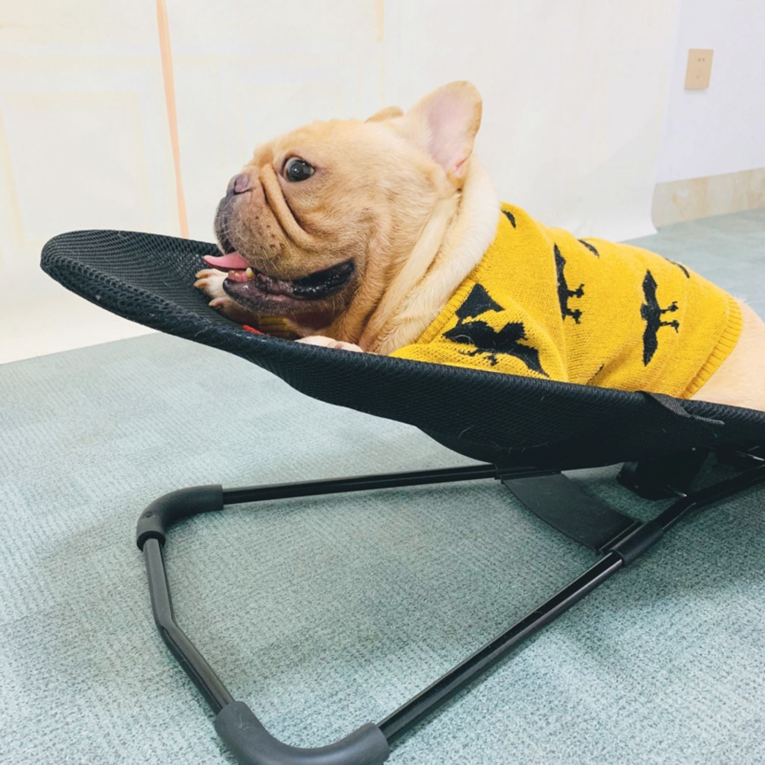 New Portable Dog Rocking Chair Pet Products — image 17