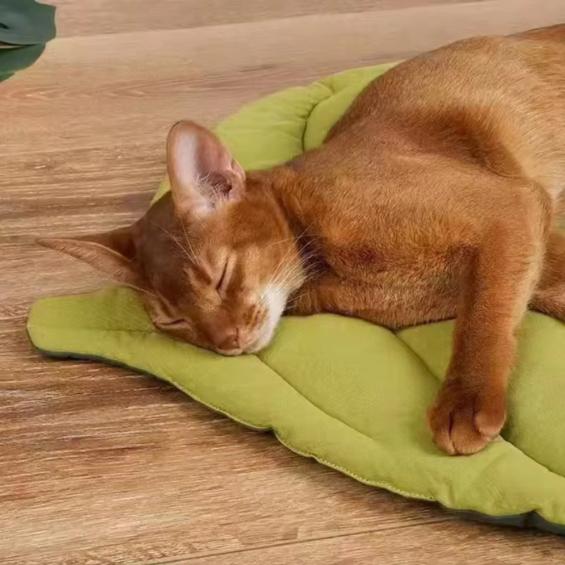 Alfombrillas de cama para gatos de algodón suave con forma de hoja, para gatitos, cachorros y perros. Manta de descanso, doble cara, lavable, todo el año, alfombra para mascotas. — imagen 3