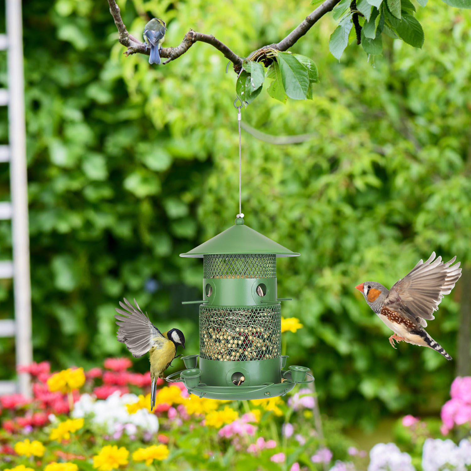 Comedor de Pájaros Silvestres Prueba de Ardillas Resistente al Mordisco Metalúrgico Comedor de Semillas para Jardín Patio Exterior con Perchas Circulares 360° Tazas de Agua para Primavera Verano — imagen 3