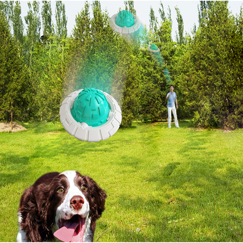 New Popular Pet Products Teddy Bomei Bears and Dog Toys Sounding Interactive Frisbee Grinding Ball — image 1