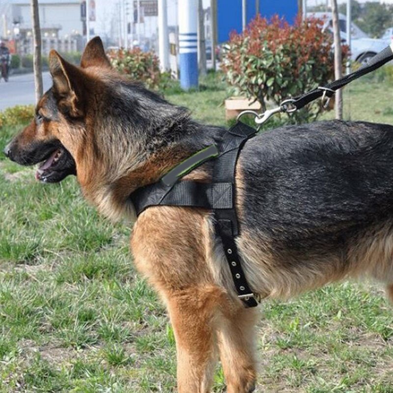 Cinturón de Refuerzo Reflectivo para Perros Cuerpo y Espalda — imagen 2