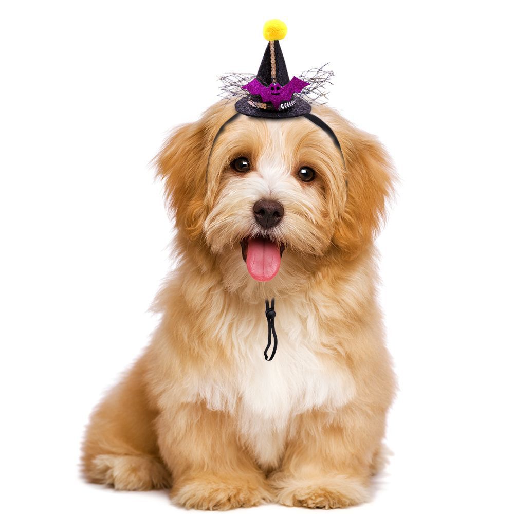 Cute Adjustable Decorations Mini Pet Dog Cat Halloween Hat — image 3