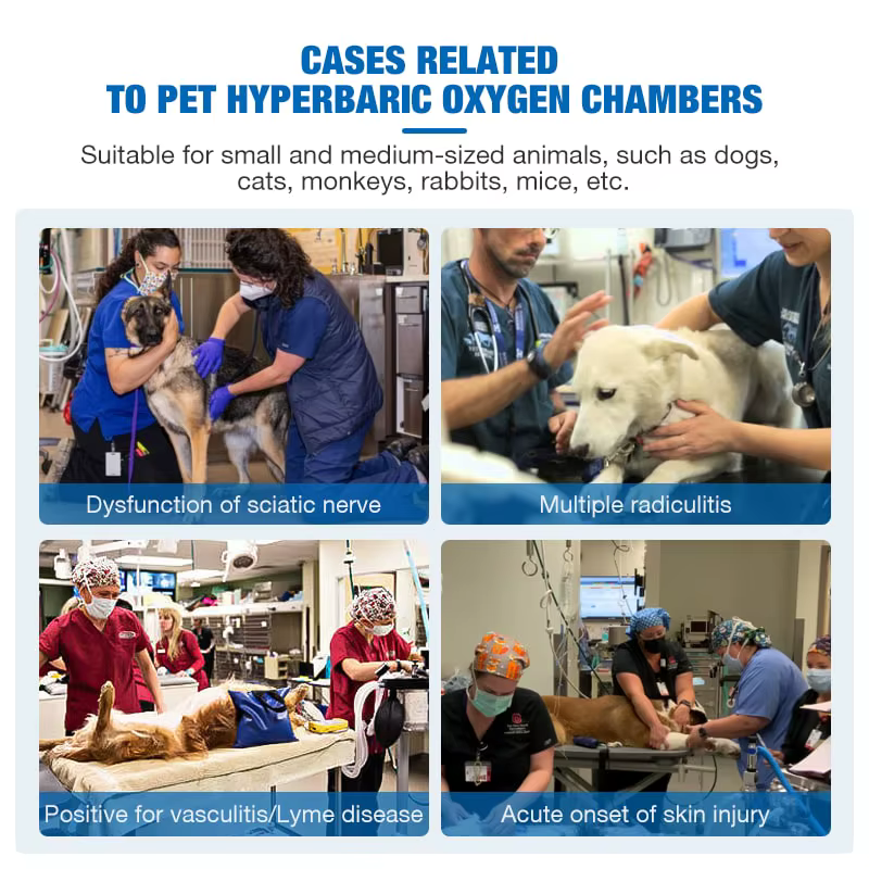 Cámara de Oxígeno Hiperbárico Veterinaria OXYAIR Vet Hard Lying 2.0 ATA para Uso Humano — imagen 6