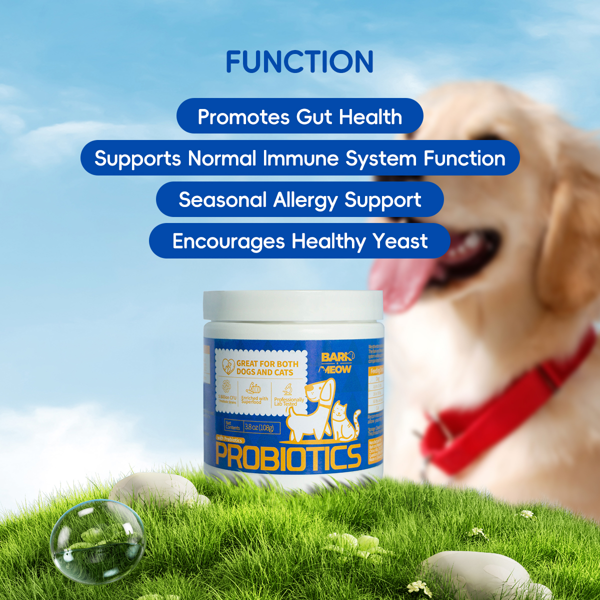 Probióticos para Perros y Gatos Bark & Meow - 7 Cepas Adaptadas, Prebióticos y Verduras Naturales - 5 Mil Billones CFU por Cucharada - Grado Humano, Libre de GMO, Aprobados por Veterinarios - Soporte Intestinal y Inmunológico — imagen 7