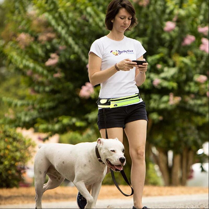 Cinturón Inalámbrico para Perros - Cinturón de Adiestramiento con Correa Elástica Absorbente para Perros Grandes hasta 82 kg, Bolsillo de Teléfono y Botella de Agua — imagen 3