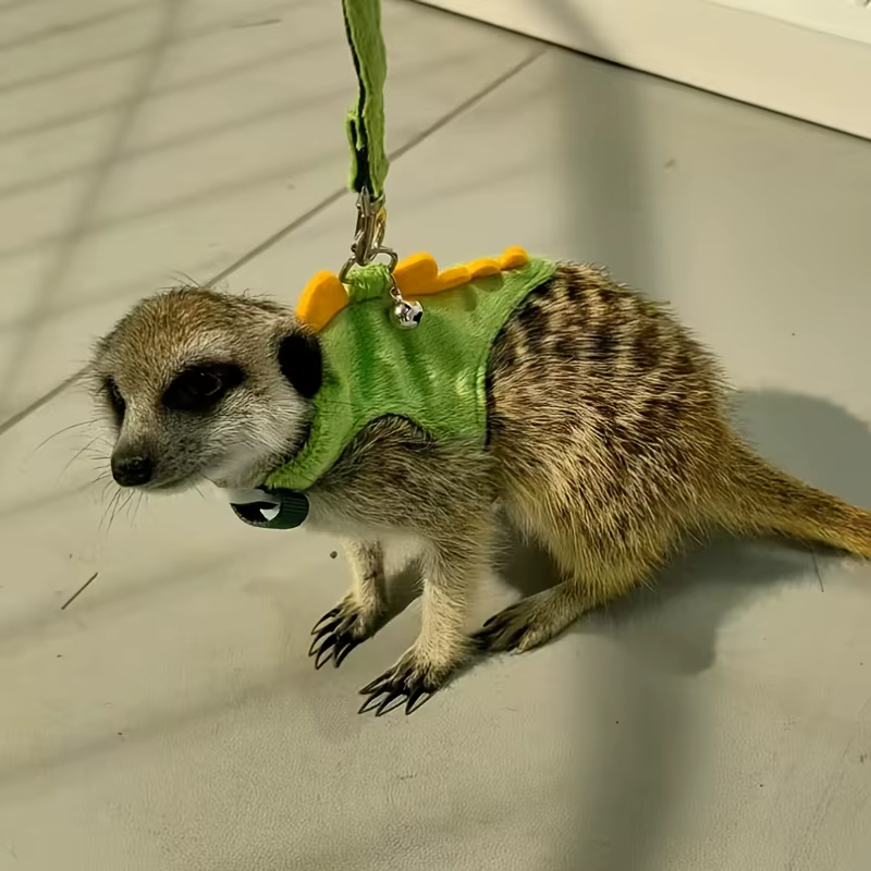Ferret lead rope Vest type adjustable pet rope Cute dinosaur shape with bell for walking mice — image 6