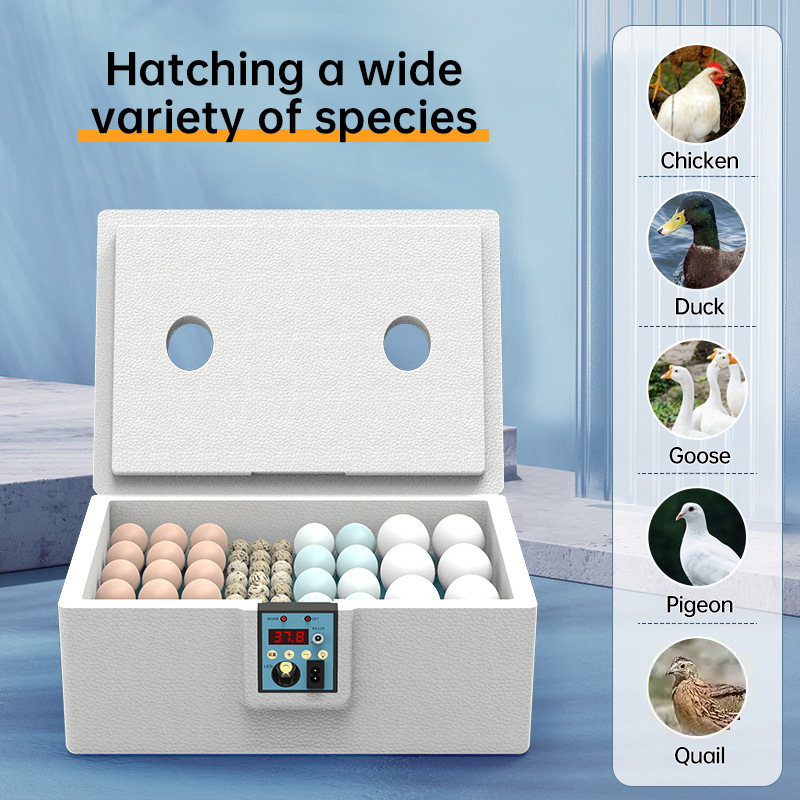 24 - hr Thermostatic Small Poultry Incubator. Biomimetic Waterbed. Auto & Smart. For Chick, Duck & Goose Eggs — image 9