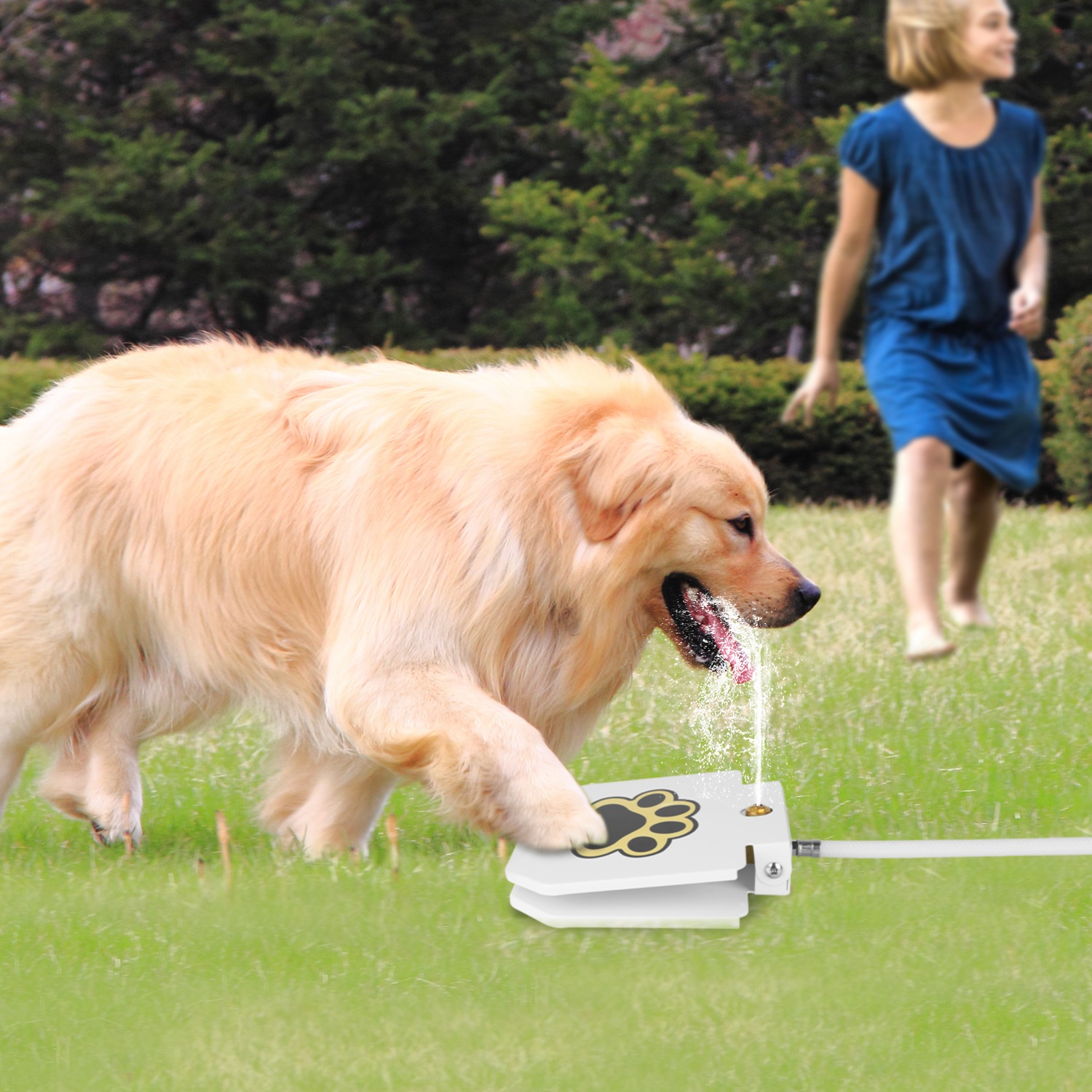 Fuente de Agua para Perros de Exterior, Dispensador de Agua para Mascotas con Aspersor Activado por Pedal, Pedal de Pata Interactivo para Beber Agua — imagen 4