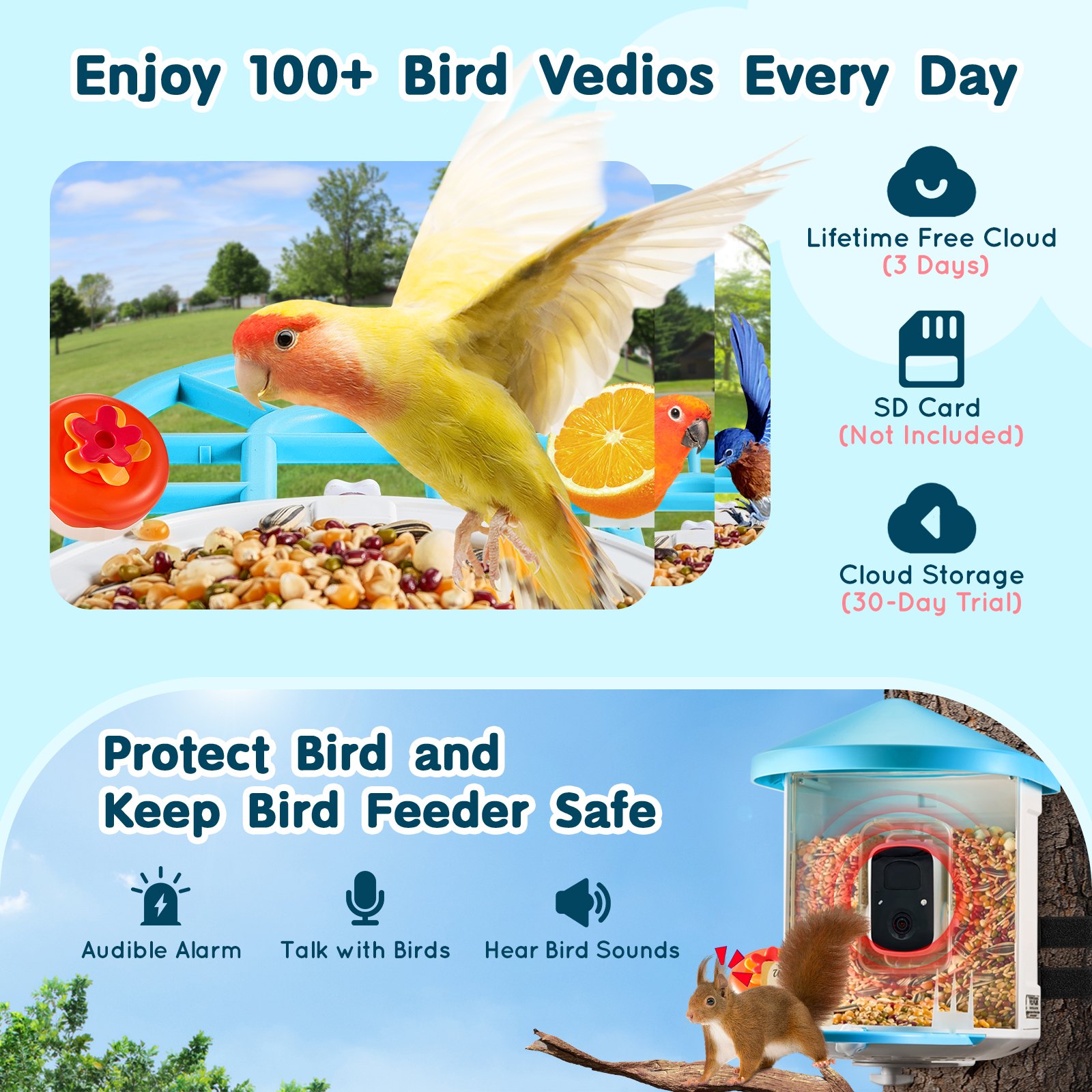 Comedor Inteligente de Pájaros con Cámara AI Identifica +10.000 Especies - Energía Solar — imagen 5