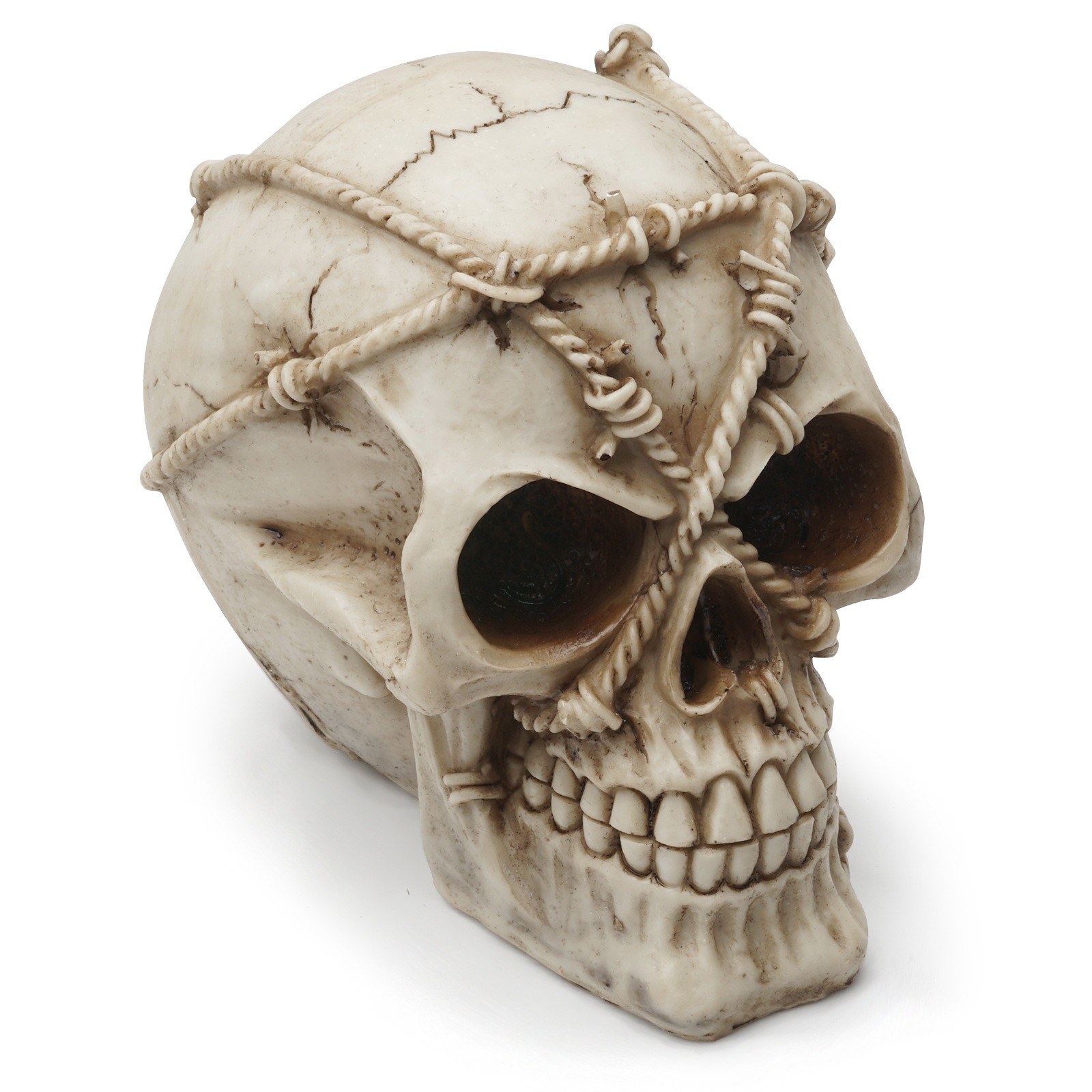 Resin Craft Skeleton Animal Skull — image 2
