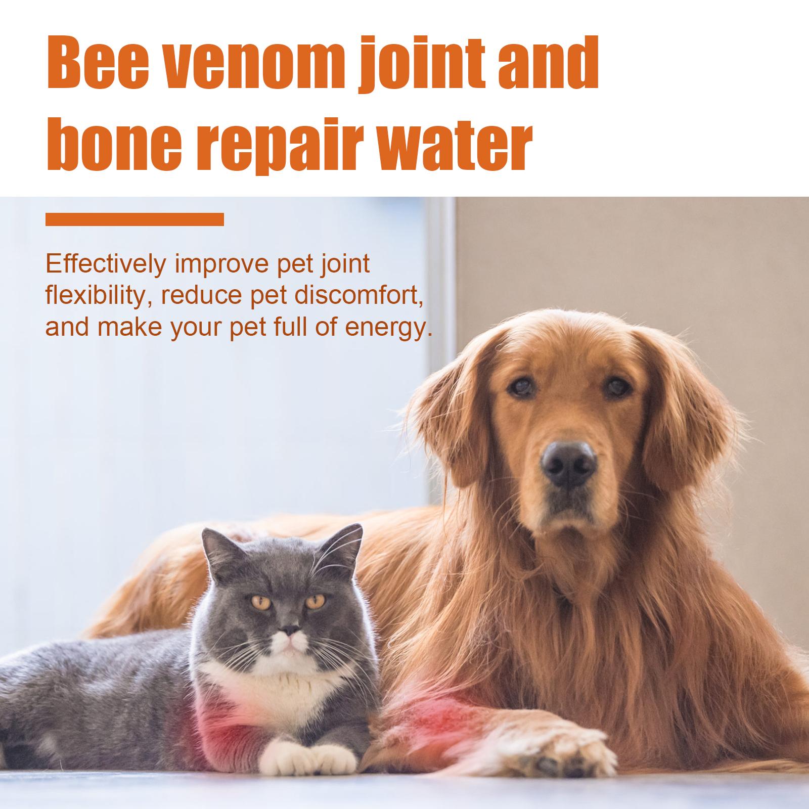 Aceite de Veneno de Abeja para Juntas de Mascotas - Suplemento de Apoyo Articular para Perros y Gatos con Alivio de Dolor en Juntas — imagen 2
