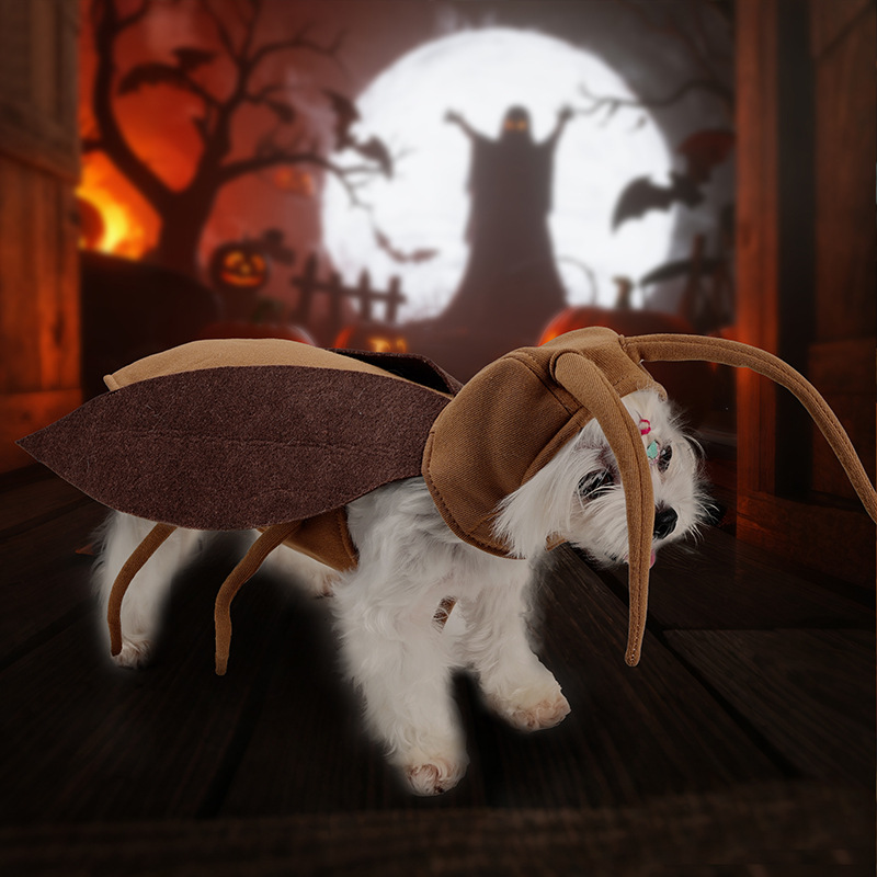 Disfraz de transformación divertido para mascotas - Insecto cucaracha o gato para Halloween — imagen 3