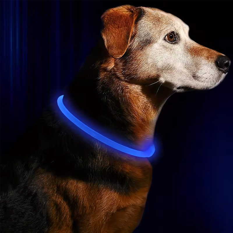 LED Fiber Optic Dog Collar - Multi-Color PVC, USB Rechargeable, Night Safety (S/M/L Sizes) — image 9