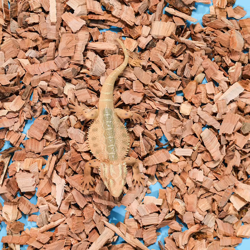 Materiales de Substrato para Reptiles - Chips de Madera de Manzana Natural, Humectantes y Desodorizantes — imagen 3