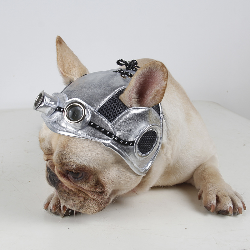 Disfraz de Fiesta para Mascotas — imagen 1