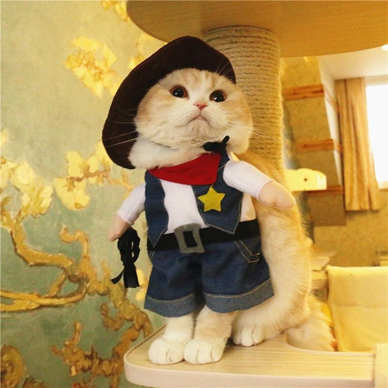 Funny Pet Costume Cowboy Role Play Suit Pet Costume Cat Halloween Christmas Party — image 5