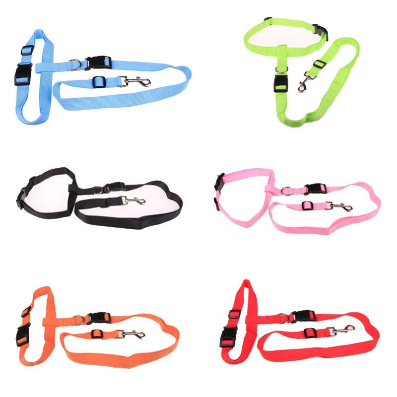 Correa de Tracción Atractiva para Perros, Ideal para Correr y Trotar, Conveniente, Segura y de Moda — imagen 2