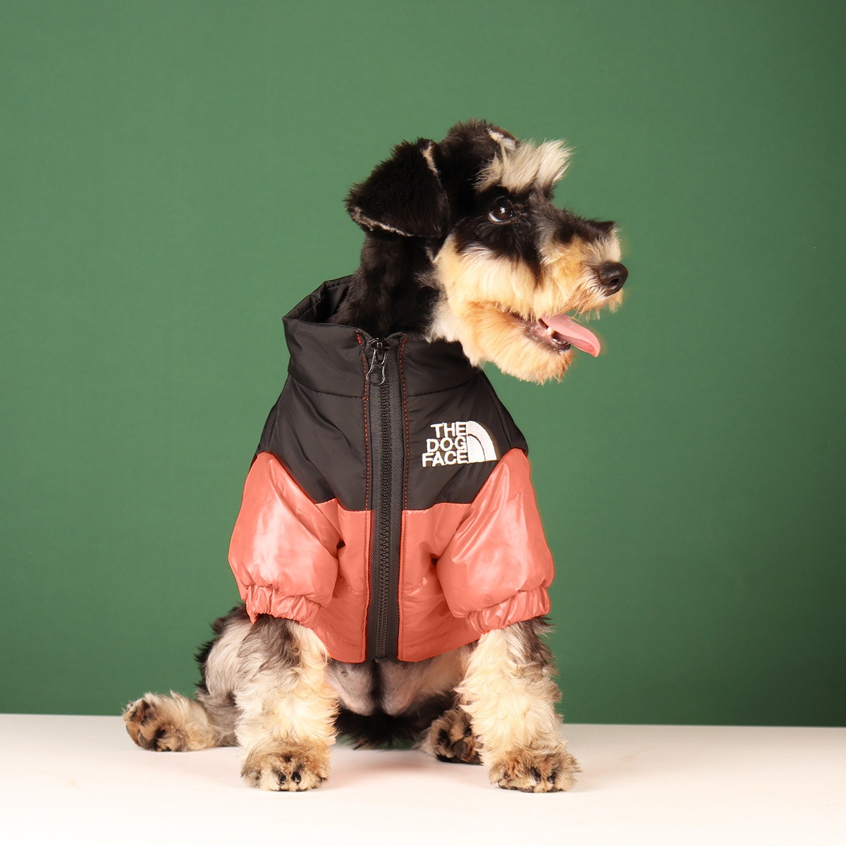 New Pet Warmth DOG FACE Cotton Shirt Small and Medium Dog Fashion Coat Embroidered Coat Dog Cat Clothes — image 5
