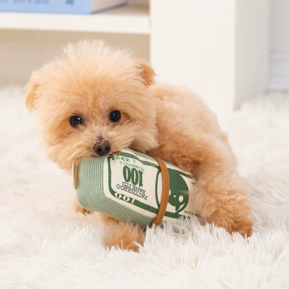Juguetes de Dinero para Perros Forma de Billetes Resistente a Mordiscos Indestructibles Sonido Interactivo Autoentretenimiento para Cachorros Gatos y Mascotas Entrenamiento — imagen 6