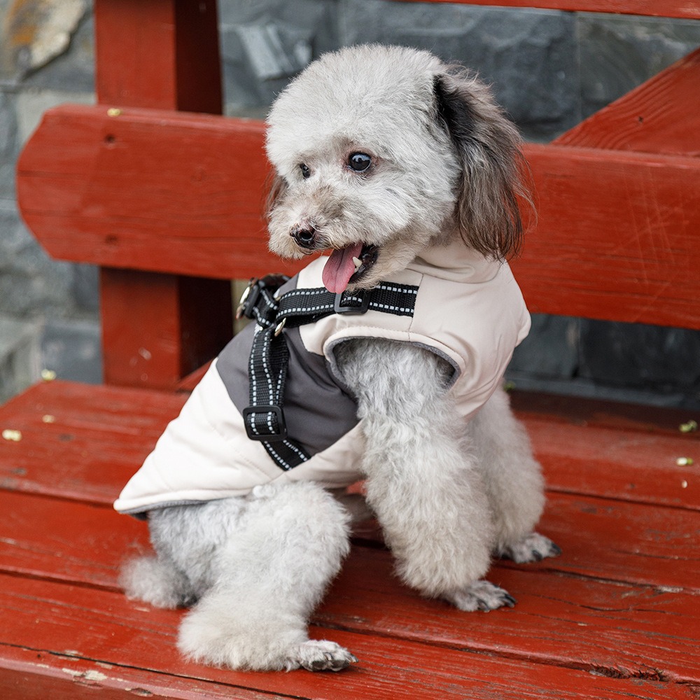 Pet Dog Clothes Warm and Thickened Autumn and Winter Two legged Teddy Bears Pomeranian Schnauzer Small Dog Vest — image 3