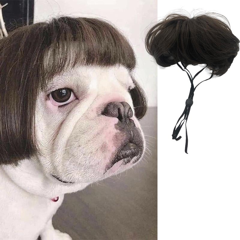 Accesorio de peluche para mascotas con pelo rizado y liso para Halloween — imagen 6