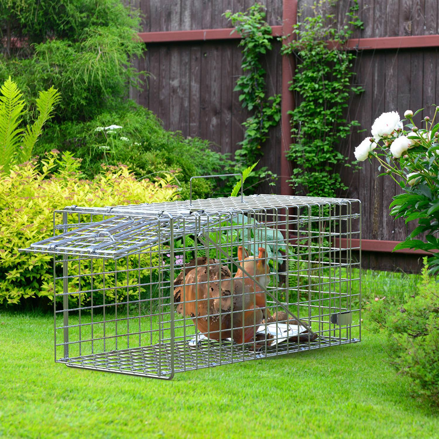 2Pzs Trampa Humanitaria de Puerta Única 18x8x10In para Animales Vivos, para Primavera y Verano, Plegable, Jaula de Hierro Galvanizado para Capturar y Liberar Ardillas, Mapaches, Gatos Ferales, Comadrejas, Armadillos, Zarigüeyas Pequeñas — imagen 9